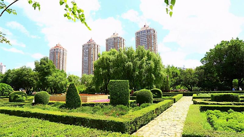 绿化资质三级升二级：业绩要求解析与达标策略**