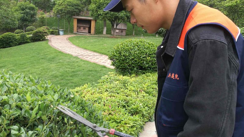 苏州庭院设计公司定制方案：打造专属绿意空间**