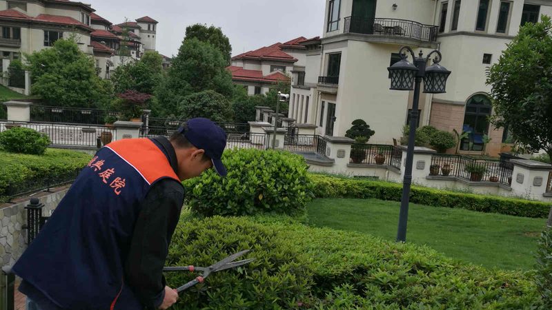 花卉租摆合同里的那些坑，一份免费模板够用吗