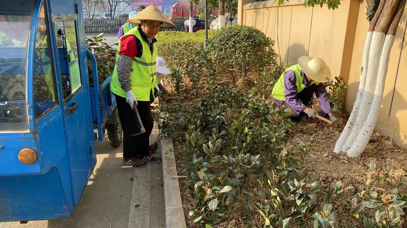 面积报价藏着多少坑？花卉租摆按平米算的真相