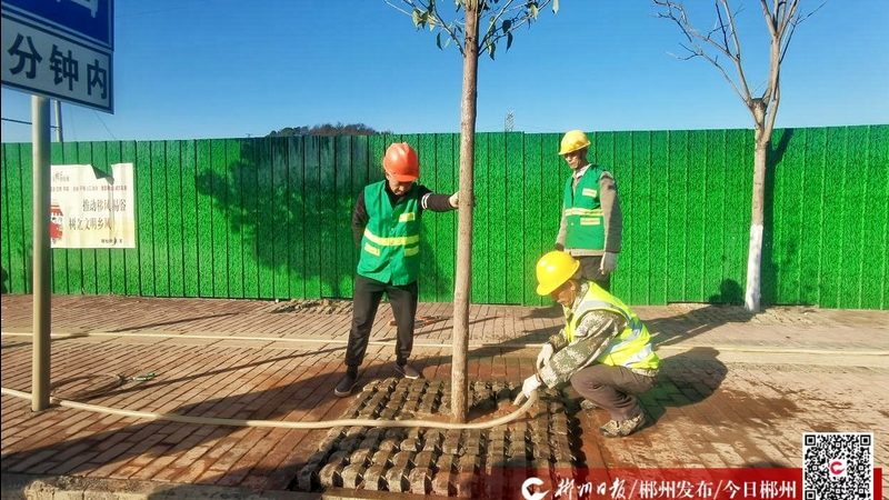 小区园林绿化土建施工流程解析