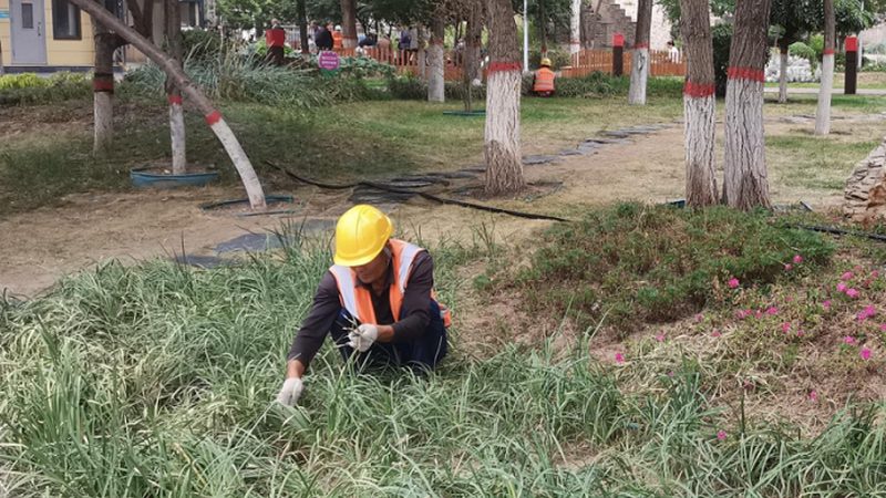 小面积别墅花园设计：如何打造私人绿洲**