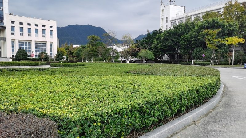 小区绿化公司报价，如何看懂其中的门道？**
