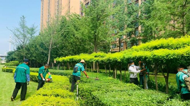 公园景观工程报价明细揭秘：关键因素与解析**